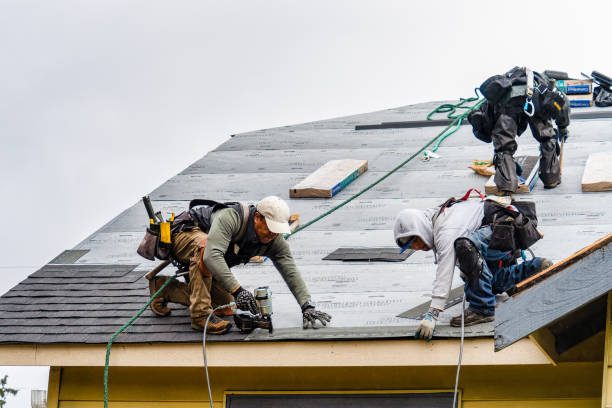 Professional Gutter Installation technician working in Blackstone, VA